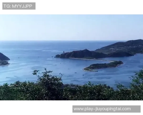 实时新闻深度分析深圳攀岩队的区域防守战术及其战绩影响